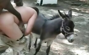 Loira transex gostosa brasileira dando cu pra nego - donkey, videos with beastiality